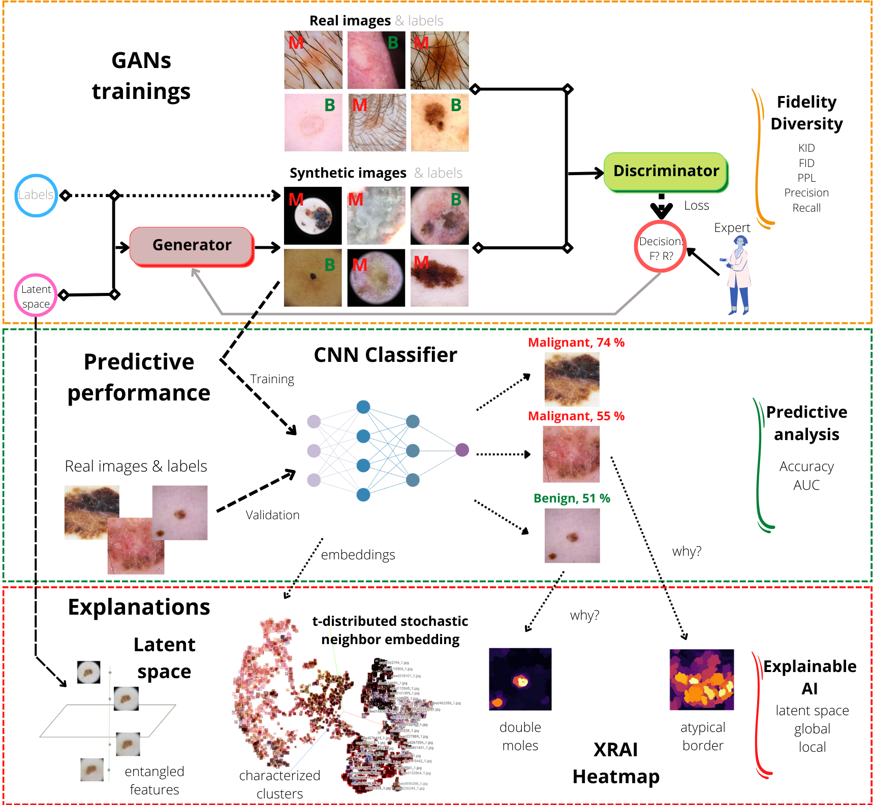 A pipeline of a three-stage procedure to generate and validate synthetic data of skin lesions.