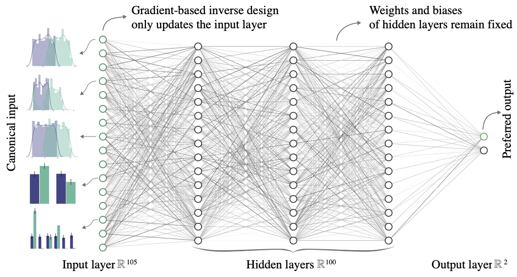 An overview of LUCID for a binary classifier trained on the UCI Adult data set. Through gradient-based inverse design on the input layer, we generate a canonical set for a preferred output. The weights and biases of the model remain fixed; the greyscale of each connection encodes the fixed value. The canonical set reveals the model’s internal logic and is visualized via the histograms. We locate the unfairness by analyzing whether the distributions of the protected features within the canonical set remain balanced after inverse design.